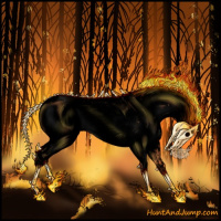 Horse Color:Void White Spotted Bay Leopard 