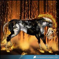 Horse Color:Void Gold Cream Champagne Pearl Dun Splash Tobiano 