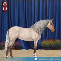 Horse Color:Silver Bay Roan Dun 