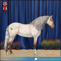 Horse Color:Silver Bay Roan Dun 