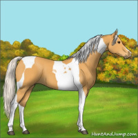 Horse Color:Silver Buckskin Tobiano 