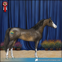 Horse Color:Buckskin 