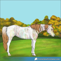 Horse Color:Chestnut Ice Tobiano 