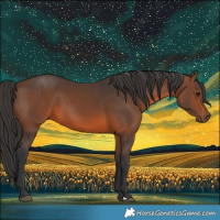 Horse Color:Brown 