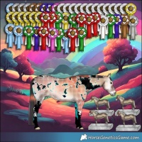 Horse Color:Plaid  White Spotted Liver Red Dun Onyx 