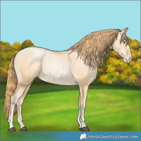 Horse Color:Buckskin Pearl 
