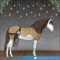 Horse Color:Classic Cream Champagne Splash Rabicano 
