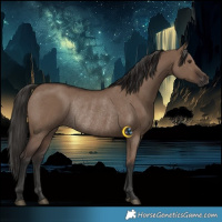 Horse Color:Liver Red Dun Rabicano 