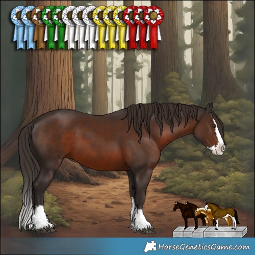 Horse Color:Liver Chestnut Sabino Splash 