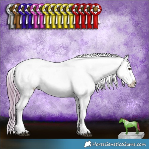 Horse Color:Watercolor Chestnut Ice Appaloosa Rabicano 