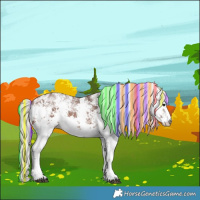 Horse Color:Painted White Spotted Silver Bay Sabino Rabicano 