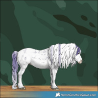 Horse Color:Watercolor White Spotted Buckskin Ice Sabino Splash 