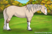 Horse Color:Silver Bay Roan Dun Splash 