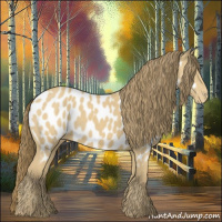 Horse Color:Amber Cream Champagne Appaloosa