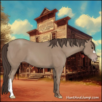 Horse Color:Classic Champagne 