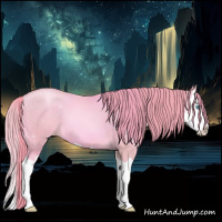 Horse Color:Watercolor Buckskin Pearl Splash 