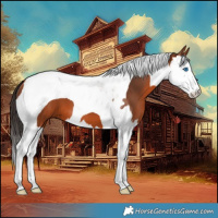 Horse Color:Bay Splash Tobiano 