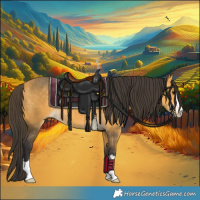 Horse Color:Buckskin 