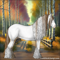 Horse Color:Amber Cream Champagne Appaloosa 