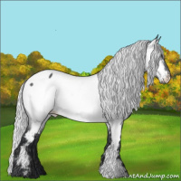Horse Color:Silver Brown Chinchilla Near Fewspot 