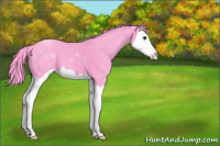 Horse Color:Watercolor Black Splash