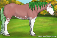 Horse Color:Watercolor Bay Splash