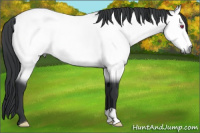 Horse Color:Brown Chinchilla 