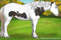 Horse Color:Liver Chestnut Splash Tobiano 
