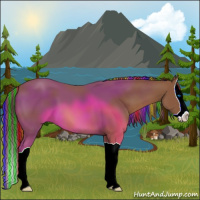 Horse Color:Painted Chestnut Splash 