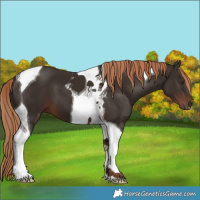 Horse Color:Liver Chestnut Tobiano 