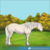 Horse Color:Cremello 