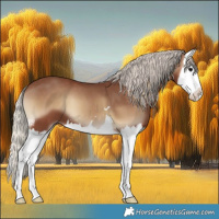 Horse Color:Silver Blue Onyx Splash 