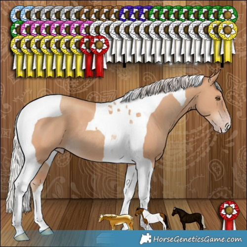 Horse Color:Silver Classic Champagne Tobiano 