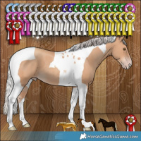 Horse Color:Silver Classic Champagne Tobiano 