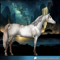 Horse Color:Gray White Spotted Liver Red Dun Ice Rabicano