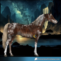 Horse Color:White Spotted Liver Chestnut Ice Tobiano 