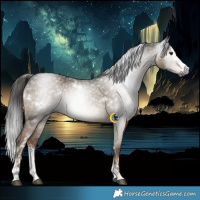 Horse Color:Gray White Spotted Liver Red Dun Splash Rabicano 