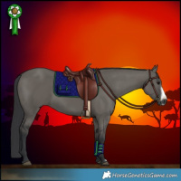Horse Color:Grullo Frame