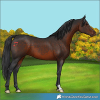Horse Color:Brown 