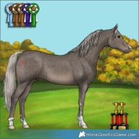 Horse Color:Silver Black 