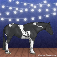 Horse Color:Black Chinchilla Tobiano 