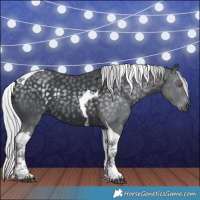 Horse Color:Silver Black Chinchilla Tobiano