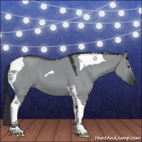 Horse Color:Grullo Chinchilla Tobiano 