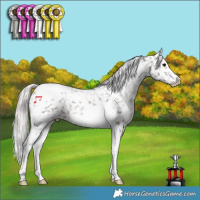 Horse Color:Silver Black Tobiano Frame Snowflake Varnish 