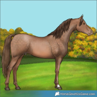 Horse Color:Brown Pearl