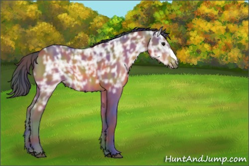 Horse Color:Nacre Bay Ice 