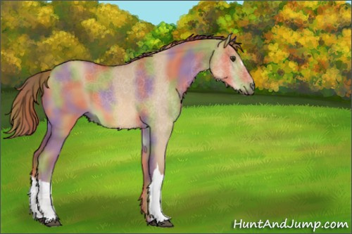 Horse Color:Nacre Red Dun 
