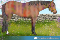 Horse Color:Nacre Bay 