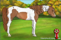 Horse Color:Chestnut Tobiano