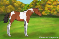 Horse Color:Bay Tobiano 